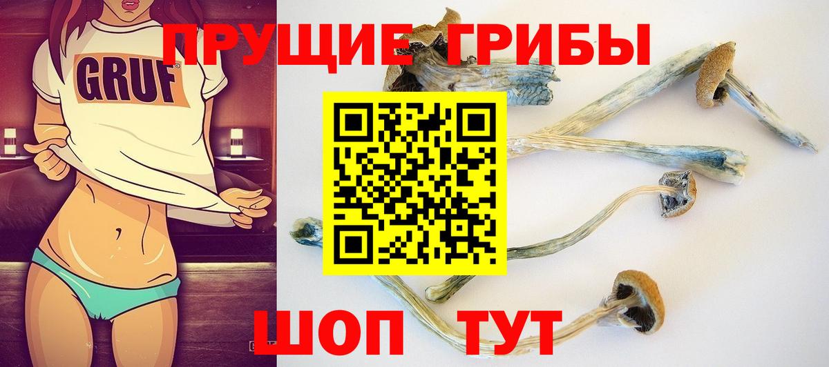 Галлюциногенные грибы прущие грибы  Вход с VPN  Чистополь 